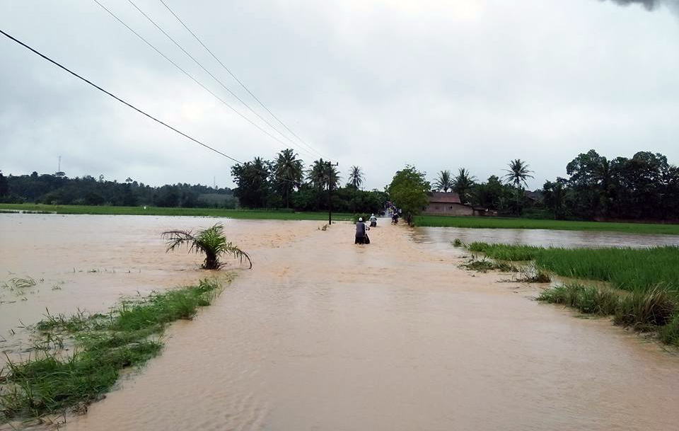 Banjir di Lampung Tengah. Foto Lampungnews/Zifa
