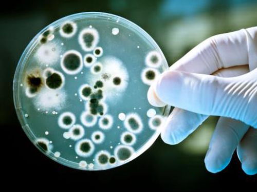 Bakteri bisa berada di mana saja. Foto: thinkstock