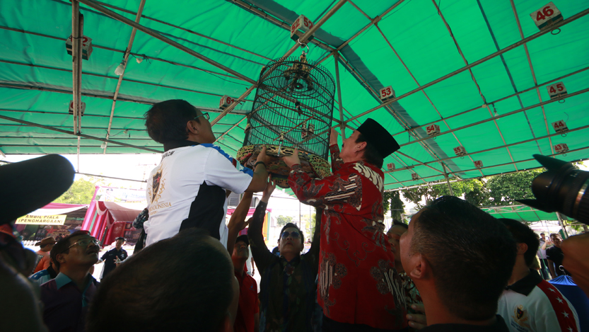Walikota Bandarlampung Herman HN menaikkan sangkar burung yang mengikuti kontes burung kicau walikota cup di pelataran kantor Pemkot Bandar Lampung, Minggu (9/7). (Lampungnews/El Shinta)