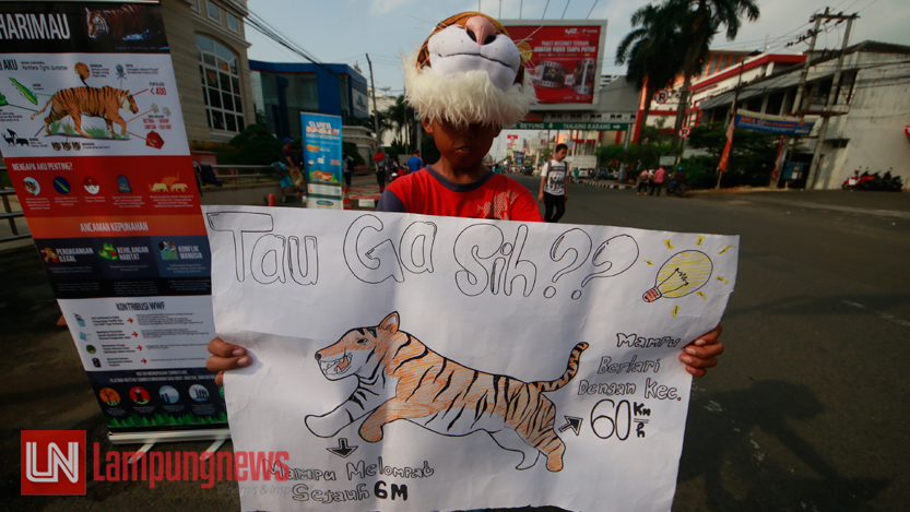 Masyarakat berfoto bersama 'harimau' pada peringatan Global Tiger Day di Car Free Day, Minggu (30/7). (Lampungnews/El Shinta)