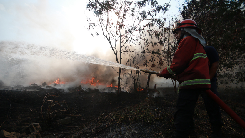 Petugas BPBD Kota Bandarlampung memadamkan api yang membakar lahan kosong seluas 9.344 meter persegi di Jalan Yos Sudarso, Way Lunik, Panjang, Selasa (19/9). (Lampungnews/El Shinta)