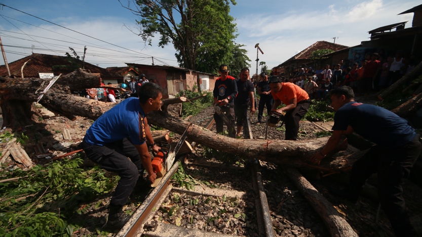 Pohon tumbang dan jatuh ke rel kereta api. (Lampungnews/El Shinta)