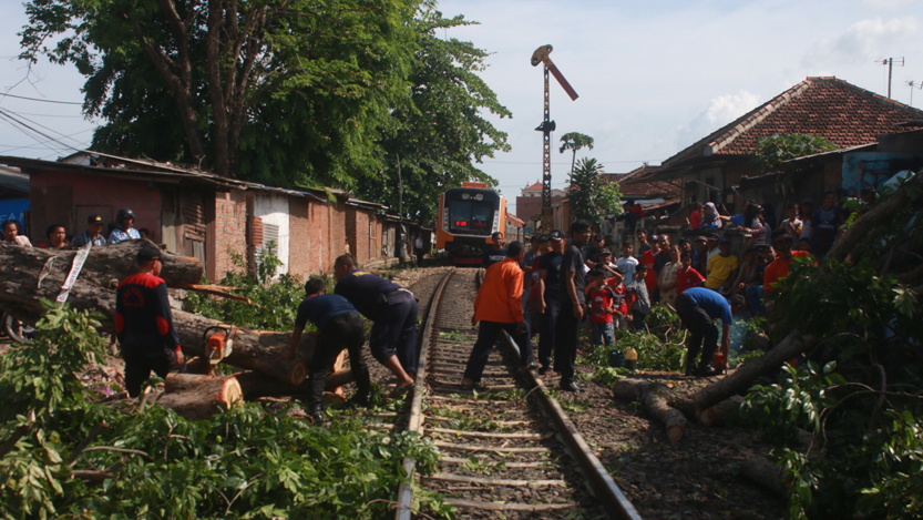 KA Seminung tujuan Kotabumi tertahan hampir satu jam karena rel dibersihkan dari potongan kayu yang melintang. (Lampungnews/El Shinta)
